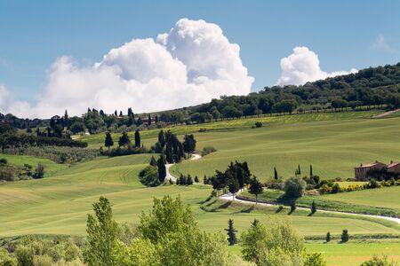 Typical winding roads in the rolling green hills of Tuscany near Pienzaの写真素材