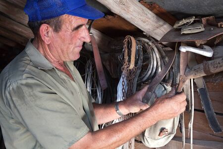 Retired bulgarian farmer in his shed checking his old toolsの写真素材
