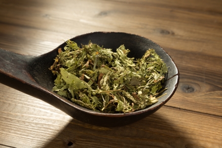 Old wooden spoon filled with natural sweetener dried steviaの写真素材