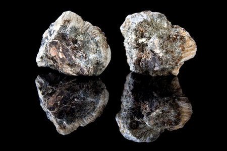 Rough piece of anthophyllite asbestos, a mineral causing mesothelioma cancerの写真素材