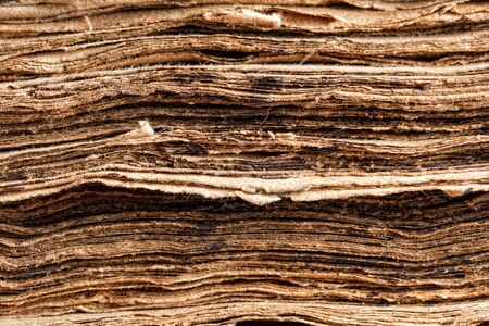 Extreme closeup on the tattered pages of a 300 years old ancient bookの写真素材