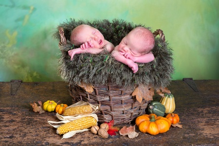 Rustic nature image of two newborn twin babies in a wicker autumn basketの写真素材