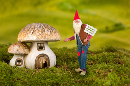 Real life garden gnome pointing at his toadstool houseの写真素材