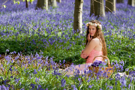 Innocent young woman with pink fairy dress in a springtime bluebells forestの写真素材