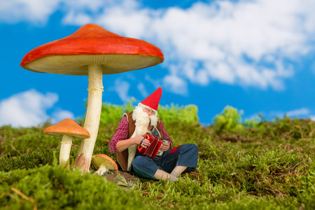 Funny old garden gnome playing music under a toadstoolの写真素材