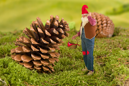 Old garden gnome with miniature basket standing in front of a pineconeの写真素材