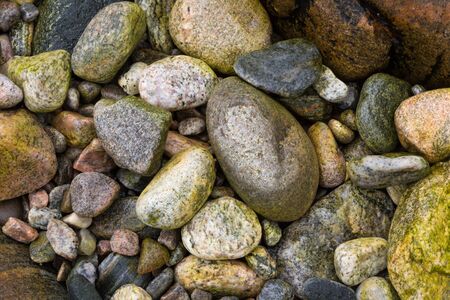 Beach boulders covered in seaweed making a colorful backgroundの写真素材