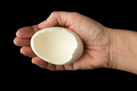 Hand holding an open egg の写真素材