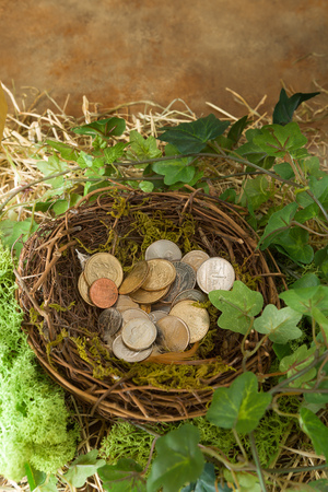 Saved money hidden in a bird's nestの写真素材