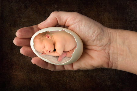Newborn baby sleeping in a broken egg, held by a woman's handの写真素材
