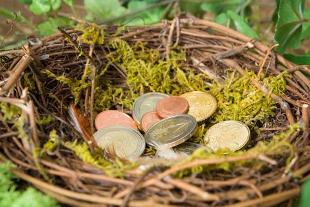 Saved money hidden in a bird's nestの写真素材