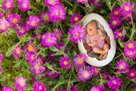Newborn baby sleeping in an egg in pink iceplantの写真素材