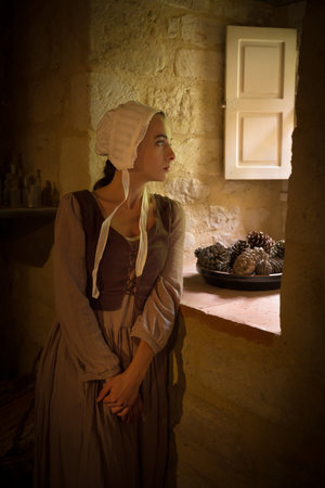 Vermeer style portrait of a young woman in Renaissance outfit looking out of the window of a medieval French castle - with property releaseの写真素材