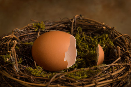 Empty broken egg in a bird's nest, with a loose eggshell cap. This is suitable for digital compositing.の写真素材