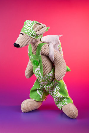 Mouse pupil toy wearing green rompers and back pack