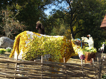 12 October 2014. At the chrysanthemums festival in Kiev. Spivoche pole (The field for singing).のeditorial素材