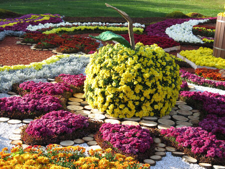 12 October 2014. At the chrysanthemums festival in Kiev. Spivoche pole (The field for singing).のeditorial素材
