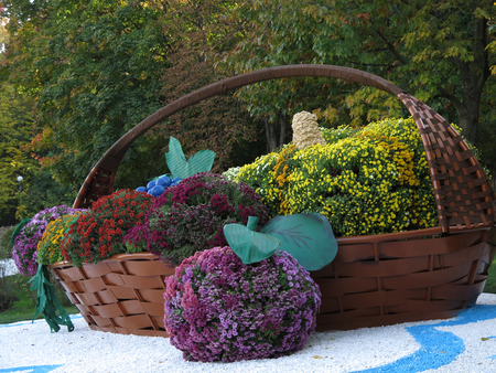 12 October 2014. At the chrysanthemums festival in Kiev. Spivoche pole (The field for singing).のeditorial素材