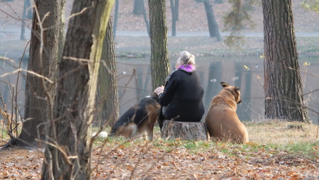 10 November 2014, Kiev, the park named after Maksym Rylsky, Golosievo area.のeditorial素材