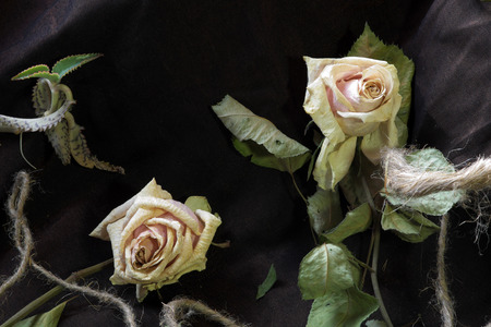 Two dry roses are decorated by a hemp rope and a sprout of kalanchoe (Mother of Thousands).の写真素材