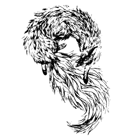 Watercolor fox tail and fur wild dogのイラスト素材