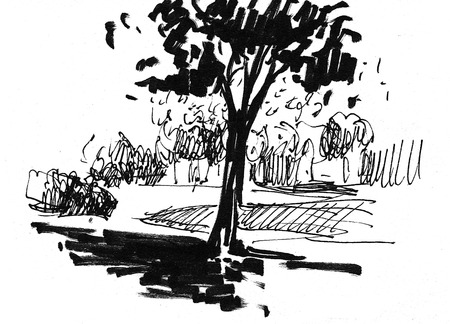 Ink illustration of growing trees with some grass. Silhouette isolated on white background.の写真素材