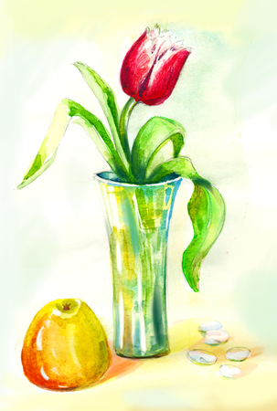 Watercolor still life painting. Tulip in vaseの写真素材