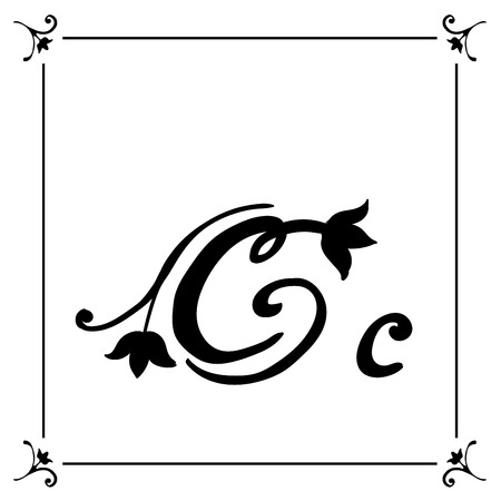 Vector floral alphabet . Brush Letters. Handwritten Script Lettering Typography for Designs.のイラスト素材