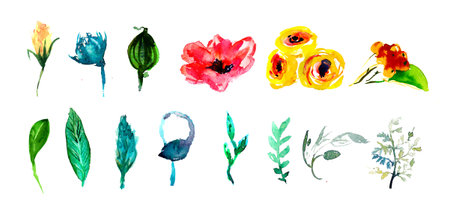 floral set. Collection with leaves.Spring or summer design for invitation, wedding or greeting cards.の写真素材