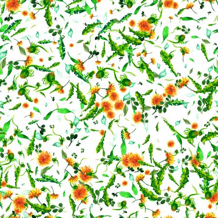 Watercolor floral seamless patterny ellow dandelions. Vintage retro summer background with wildflowersの写真素材