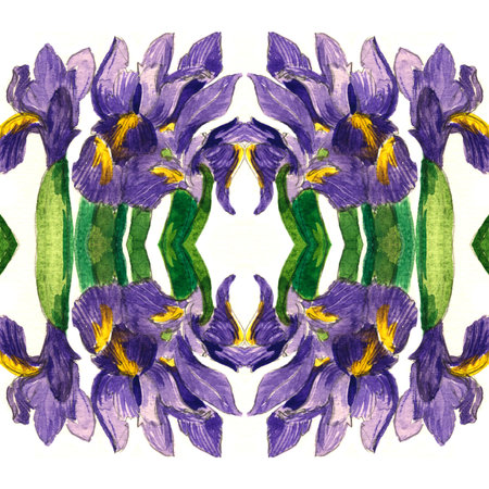 Bright Seamless pattern watercolor iris flowers and anemone. Illustrationの写真素材