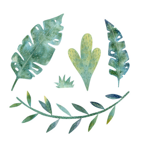 Exotic, tropical plants childrens watercolor illustration, cute and funny. monstera and lianaの写真素材