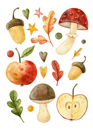 Large set of watercolor autumn illustrations isolated on a white background. Forest illustrations: leaves, mushrooms, acorns, fly agaric, apple, half an apple. Perfect for fall decor.の写真素材