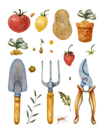 Watercolor gardening and harvest set with vegetables, tools, and plants. Includes tomato, potato, watering can, shovel, fork, sprout, and leaves. Perfect for packaging, prints, and DIY projects.の写真素材