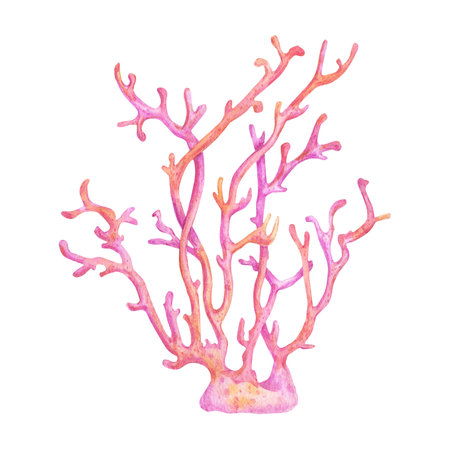 Pink watercolor Ocean Coral branch. Hand drawn realistic Underwater Seaweed. Coral Reef object, plant. Sea Life illustration. Hand drawn Marine element isolated on white background for print designの写真素材