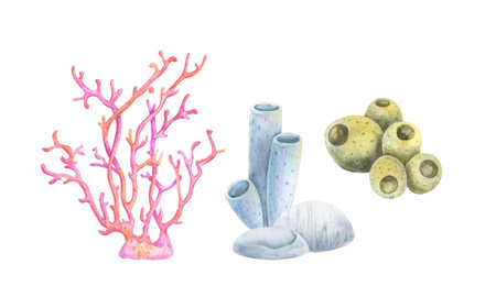 Watercolor illustration of coral reef elements: pink coral, blue tube sponges, yellow sea sponges, and stones. Hand-painted marine set on white background, perfect for ocean-themed design.の写真素材