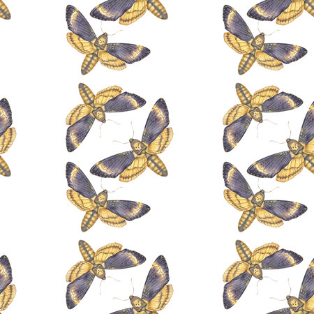 Seamless watercolor pattern featuring deaths-head hawkmoth butterflies on a white background. Perfect for textiles, wallpapers, gothic decor, and mystical designs.の写真素材