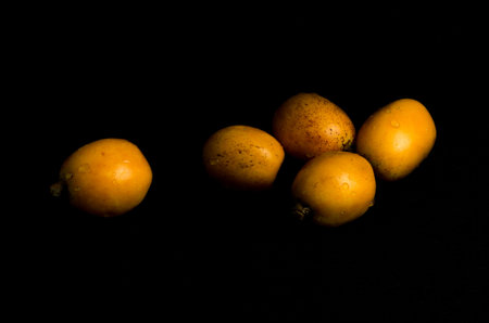 five loquat on black background