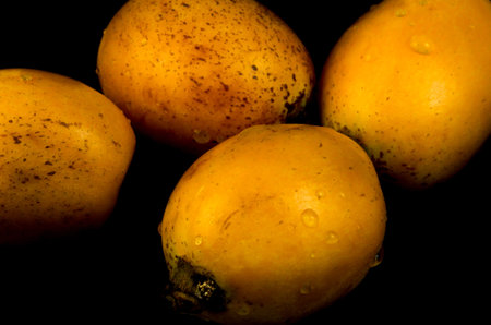 four loquat on black background