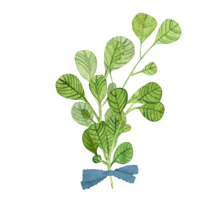 isolated, sprigs of herbs drawn in watercolor in hand technique, abstract green herbs, a set of herbs, branches with leaves, blades of grassの写真素材