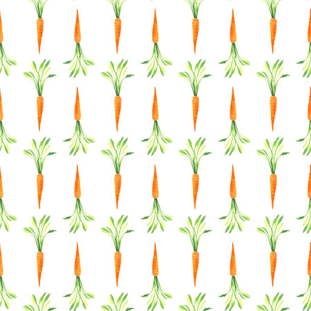 carrot, carrot pattern hand drawn in watercolor, hand drawn, vegetables, root vegetables, isolated pattern on a white backgroundの写真素材