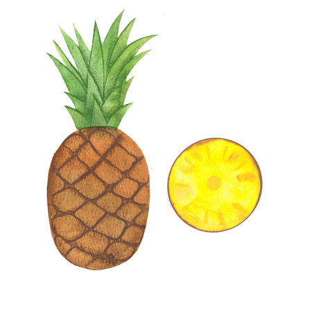 pineapple fruit drawn in watercolor, picture for farm store and market, vegetarian products