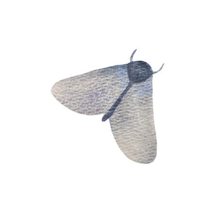 watercolor illustration of butterflies, moths and moths. A picture of a hand-drawn insect with wings. Postcards with natural motifs in soothing colorsの写真素材