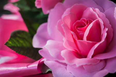 artificial flower pink roseの写真素材
