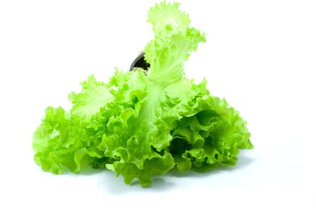 Green saladin on pot on white backgroundの写真素材