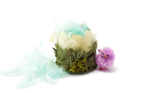 Chickens on the eggshell, colorful, grass, isolated
