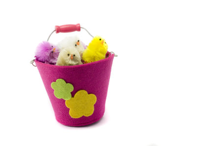 Easter colored chickens, pail, isolated, positive, toyの写真素材