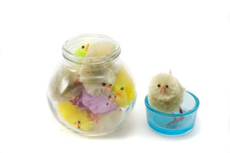 Colored easter chickens on the pot, isolated