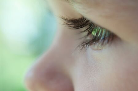 Baby macro eyelashの写真素材