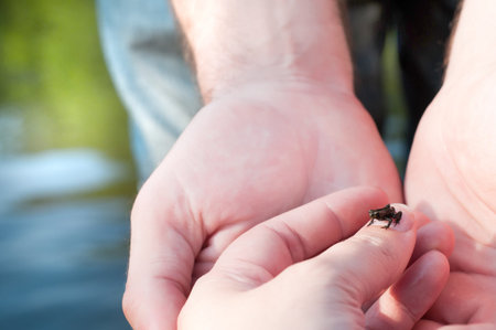 Shot of liLittle frog sitting on finger